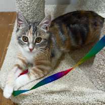 Thumbnail photo of Bubbles #1