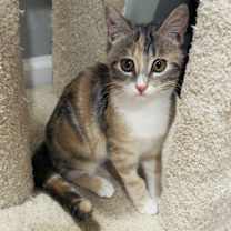 Thumbnail photo of Bubbles #3