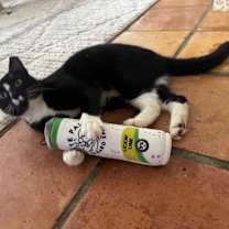 Thumbnail photo of Riven #2