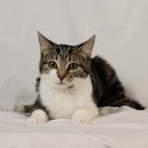 Thumbnail photo of Zoe #1