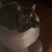 Thumbnail photo of Faye #1