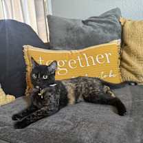 Thumbnail photo of Faye #2