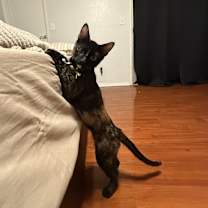 Thumbnail photo of Faye #3