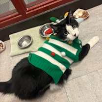 Thumbnail photo of Buttons #1