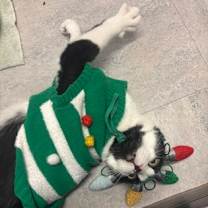 Thumbnail photo of Buttons #2