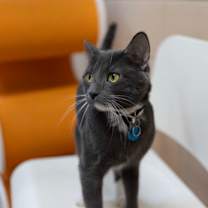 Thumbnail photo of Hobie #2