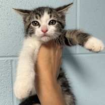 Thumbnail photo of Squash #2