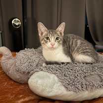 Thumbnail photo of Vi #1