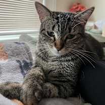 Thumbnail photo of Kit(ty) Kitteredge #3