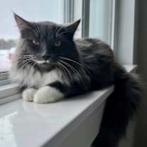 Thumbnail photo of Toad #1