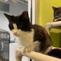 Thumbnail photo of Astrid #2