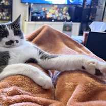 Thumbnail photo of Senator **Bonded with Timo** #1