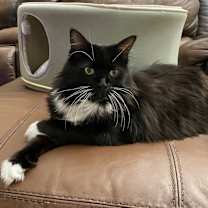 Thumbnail photo of Rosey #1