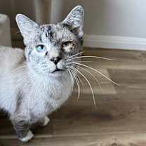 Thumbnail photo of The Mister #1