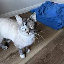 Thumbnail photo of The Mister #4