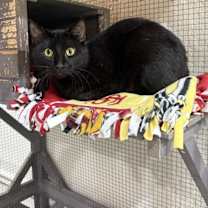 Thumbnail photo of Roquefort #1