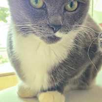 Thumbnail photo of Pita #2