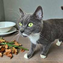 Thumbnail photo of Pita #3