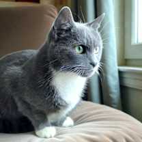 Thumbnail photo of Pita #4