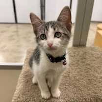 Thumbnail photo of Marie #1