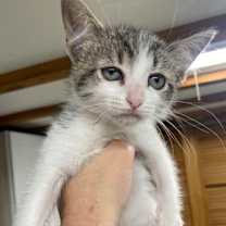 Thumbnail photo of Marie #3