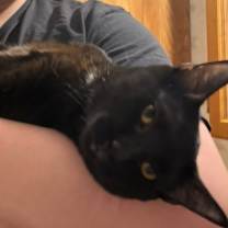 Thumbnail photo of JELLY #3