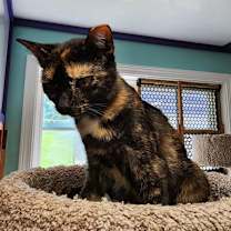 Thumbnail photo of Kasey #3