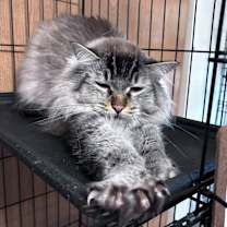 Thumbnail photo of Sam #3