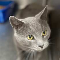 Thumbnail photo of Ruby #1