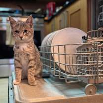 Thumbnail photo of Pinkie #2