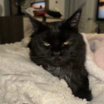 Thumbnail photo of Bruce #2