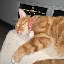 Thumbnail photo of Kayda #2