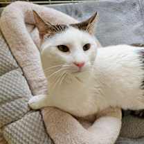 Thumbnail photo of Jeremiah #1