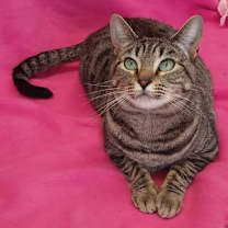 Thumbnail photo of Kisses (Leuk+) #3