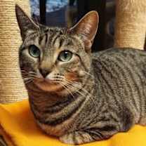 Thumbnail photo of Kisses (Leuk+) #4