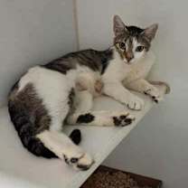 Thumbnail photo of Lillie #3