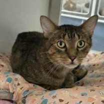 Thumbnail photo of Bello (Leuk +) #3