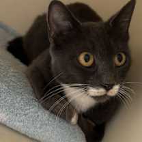 Thumbnail photo of Pretty Girl #1