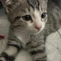 Thumbnail photo of Tank 10.6.25 #2