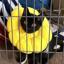 Thumbnail photo of Nyx 8.22.25 #4