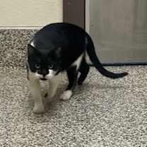 Thumbnail photo of Dorothy #2