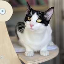 Thumbnail photo of Puddles #2