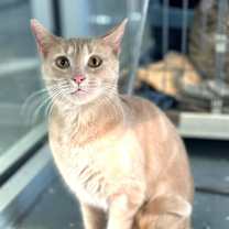 Thumbnail photo of Zuri #1