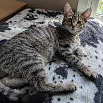 Thumbnail photo of Wesley #1