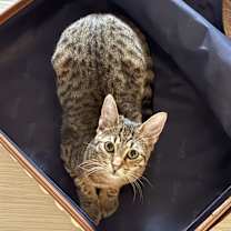 Thumbnail photo of Luca #2