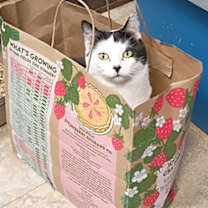 Thumbnail photo of Welcome #1