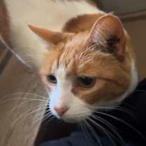 Thumbnail photo of Raymond #2