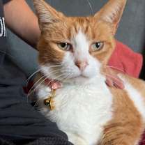 Thumbnail photo of Raymond #4