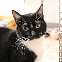 Thumbnail photo of Tessa #2