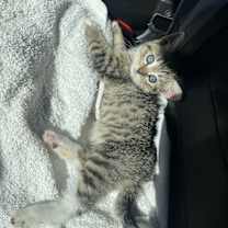 Thumbnail photo of Boots #3